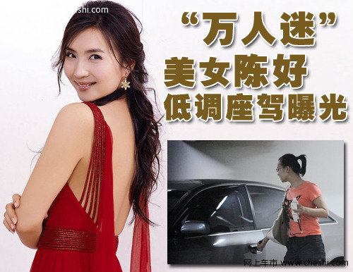 陈好与车