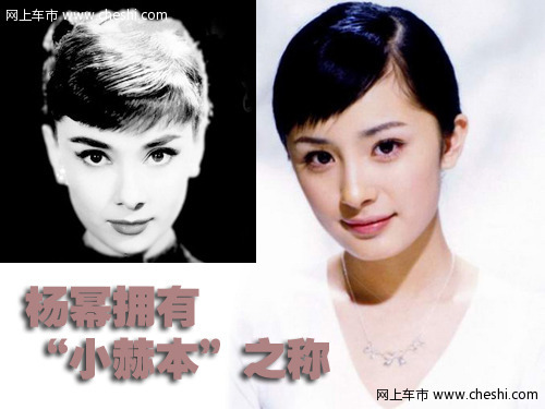 杨幂与车