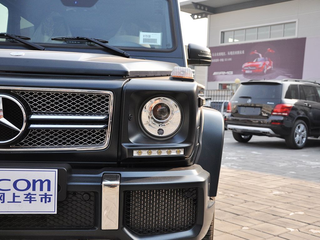 奔驰G级AMG 2013款 奔驰 G65图片