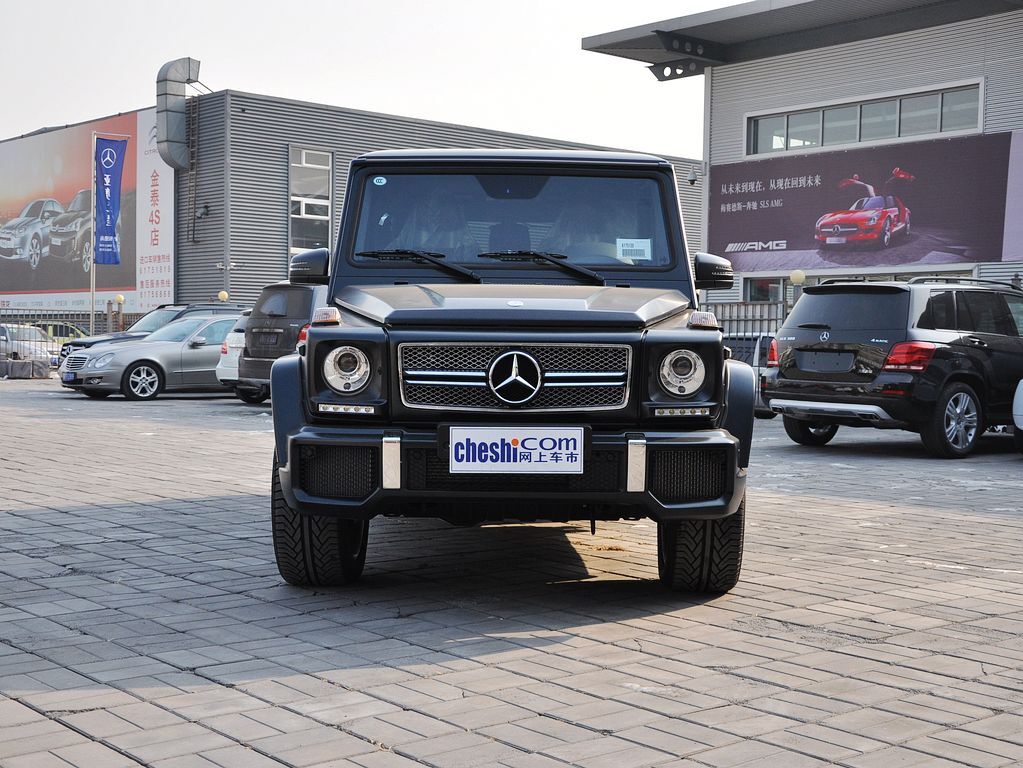 奔驰G级AMG 2013款 奔驰 G65图片