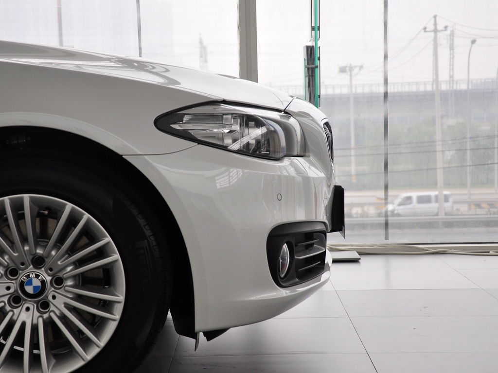 宝马5系 2014款 5系 525Li 领先型图片