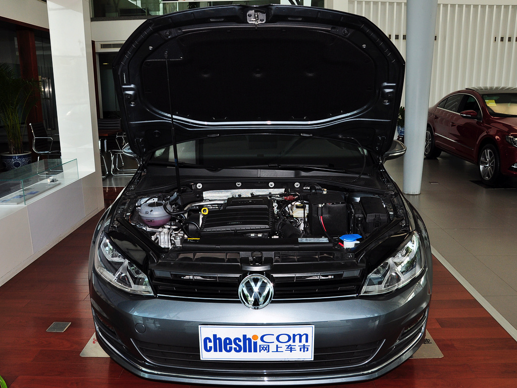高尔夫 2014款 1.6L 自动 舒适型图片