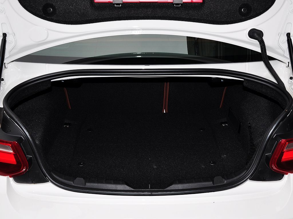 宝马2系（进口） 220i 2.0T 领先型 2014款图片