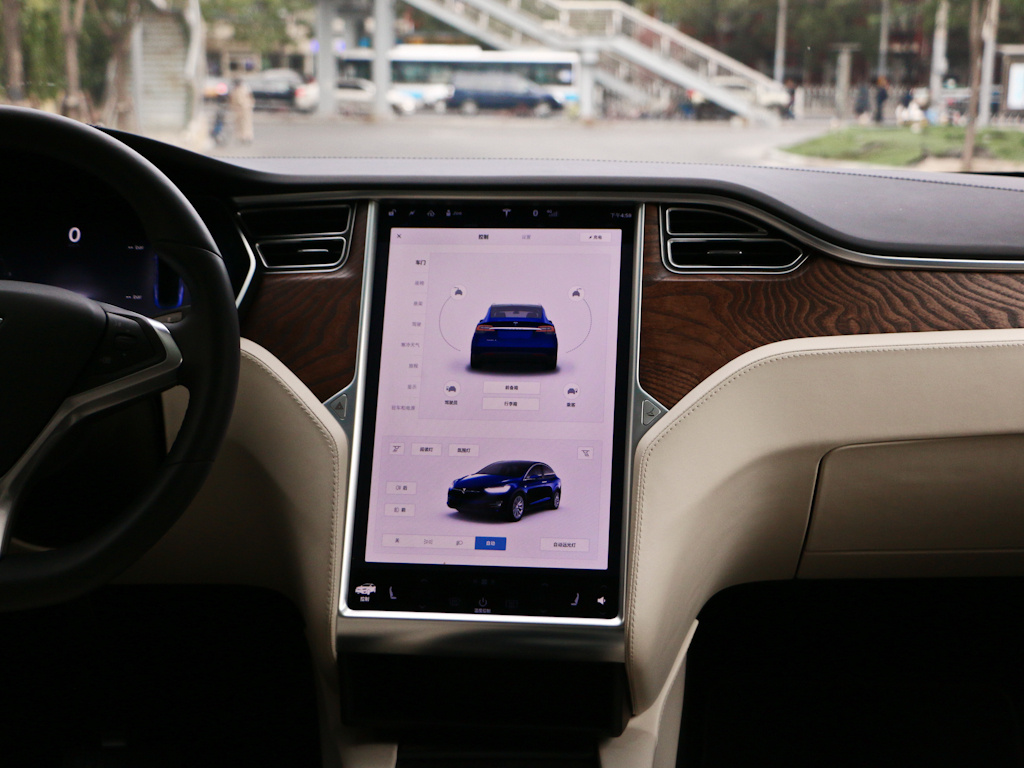 MODEL X 图片