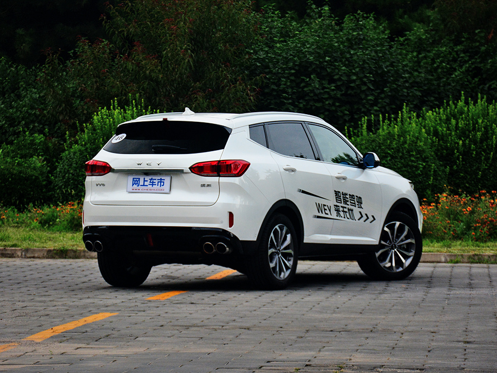 魏牌 VV6 图片