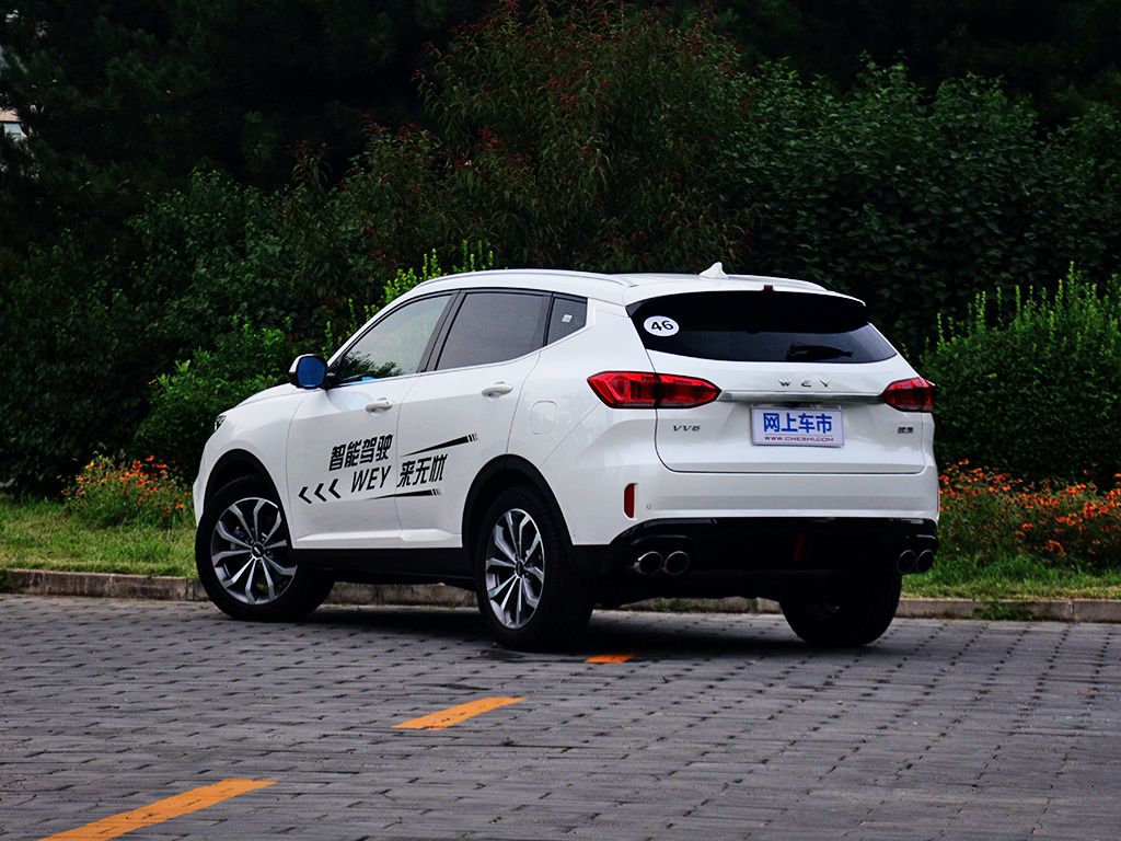 魏牌 VV6 图片