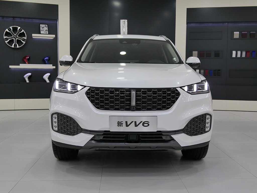魏牌 VV6 图片