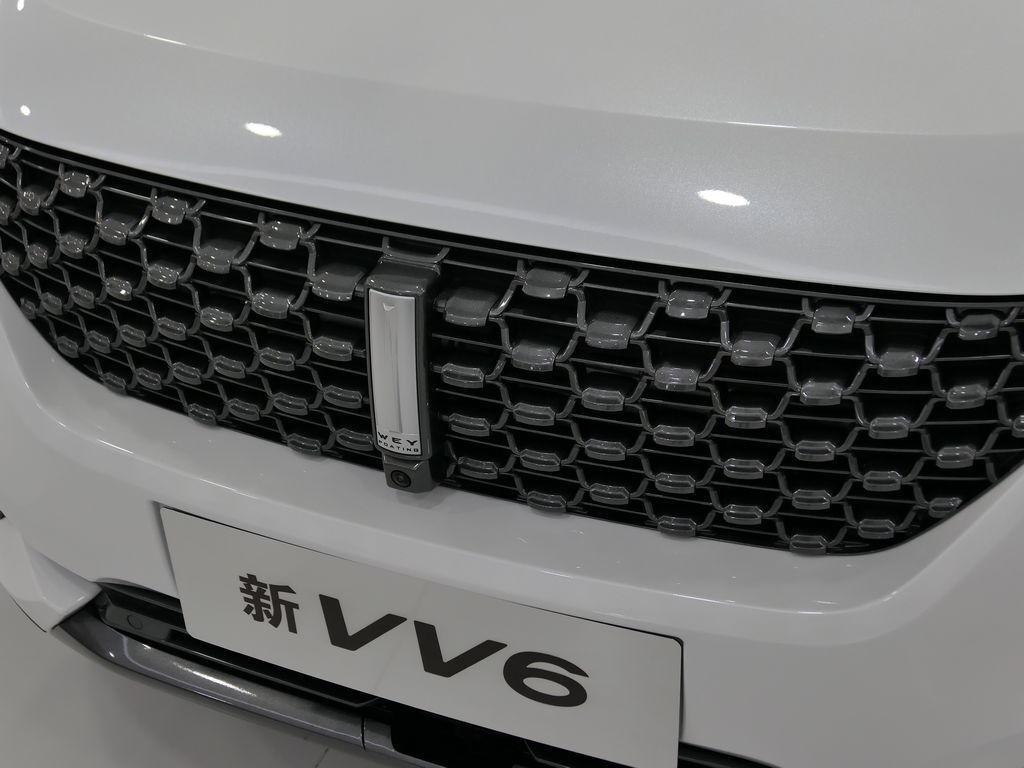 魏牌 VV6 图片