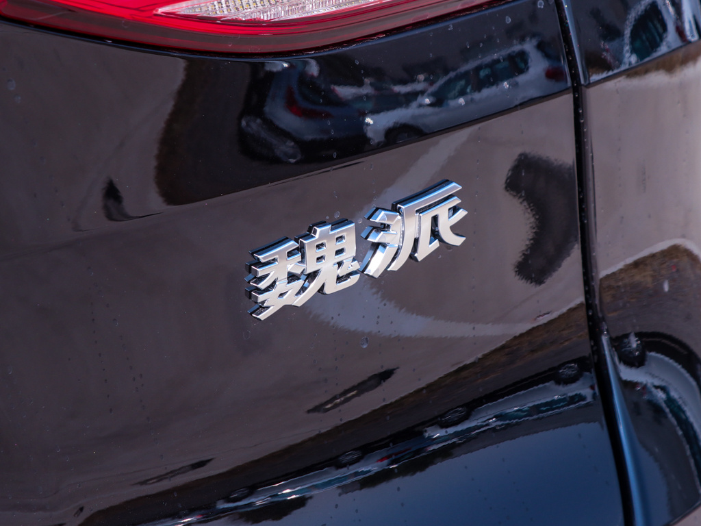 魏牌 VV6 图片