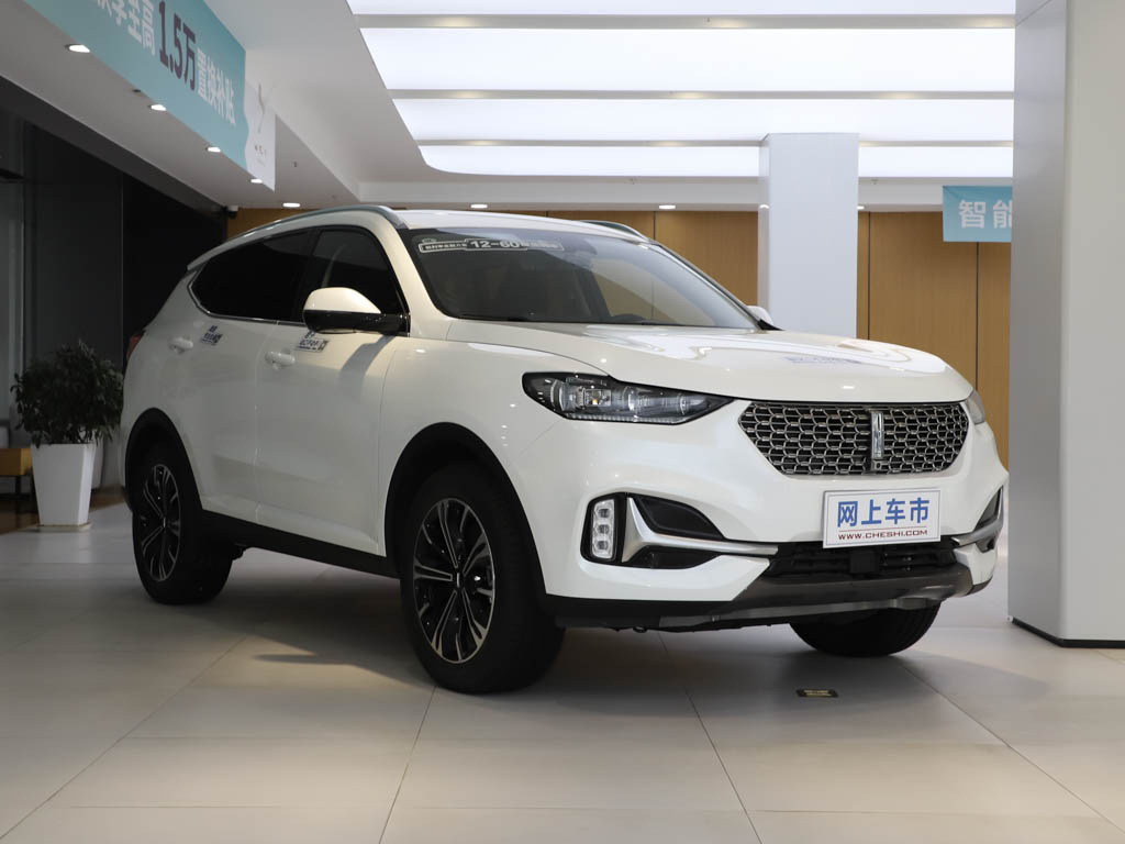魏牌 VV6 图片