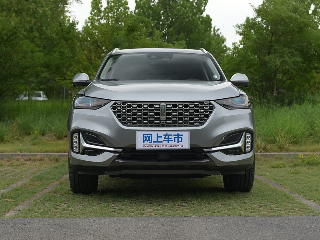 魏牌 VV6 图片
