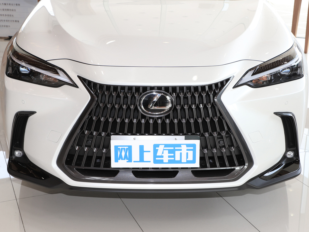 雷克萨斯NX 图片