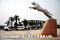 猎豹CS6 长丰星沙基地图片