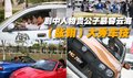张翰 车