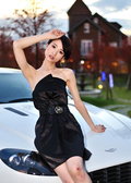 阿斯頓·馬丁V8 Vantage 阿斯頓-馬丁 V8 Vantage圖片