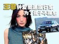 王菲与车