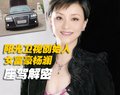 杨澜与车