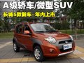 长城M1 长城 迷你图片