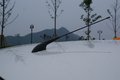 吉利全球鹰熊猫 吉利 熊猫图片
