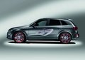 奥迪Q5(进口) 奥迪(进口) Q5图片