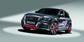 奥迪Q5(进口) 奥迪(进口) Q5图片