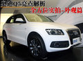 奥迪Q5(进口) 奥迪(进口) Q5图片