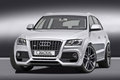 奥迪Q5(进口) 奥迪(进口) Q5图片