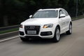 奥迪Q5(进口) 奥迪(进口) Q5图片