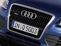 奥迪Q5(进口) 奥迪(进口) Q5图片