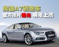奥迪A6L 奥迪 新A6L 2009款图片