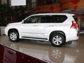 雷克萨斯GX 雷克萨斯(凌志) GX图片