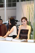 2010北京车展 车模