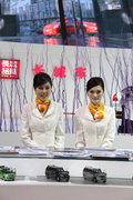 2010北京车展 车模