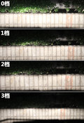 指南者(进口) 2010款指南者Compass图片