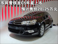 雪铁龙C5(进口) 雪铁龙(进口) C5 2009款图片