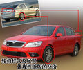 明锐 斯柯达 明锐 2008款图片
