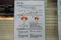 轩逸 2009日产安全训练营图片