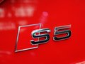 奥迪(进口) S5 车展