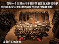奔驰E级(进口) 奔驰(进口) 新E系图片