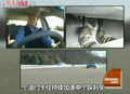 雷克萨斯ES 雷克萨斯车祸图片