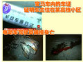 宝马3系 新3系车祸图片