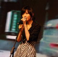张亚东 春晓