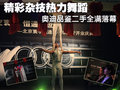 奧迪A4L 奧迪 A4L 2010款圖片