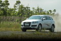 奥迪Q7 奥迪(进口) Q7 2010款图片