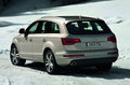奥迪Q7 奥迪(进口) Q7 2010款图片