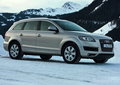 奥迪Q7 奥迪(进口) Q7 2010款图片