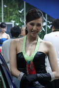 標(biāo)致307 東風(fēng)標(biāo)致 新307三廂 2010款圖片