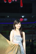 標(biāo)致307 東風(fēng)標(biāo)致 新307三廂 2010款圖片