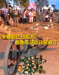 標(biāo)致307 東風(fēng)標(biāo)致 新307三廂 2010款圖片