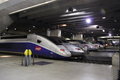 标致307 东风标致 新307三厢 2010款图片